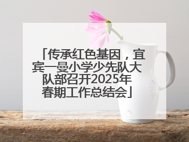 传承红色基因，宜宾一曼小学少先队大队部召开2025年春期工作总结会