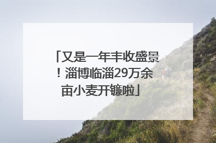 又是一年丰收盛景！淄博临淄29万余亩小麦开镰啦