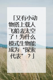 又有小动物搭上载人飞船去太空了！为什么模式生物能成为“探索代表”？