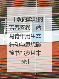 双向奔赴的青春答卷：鸬鸟青年用生态行动与思想碰撞书写乡村未来