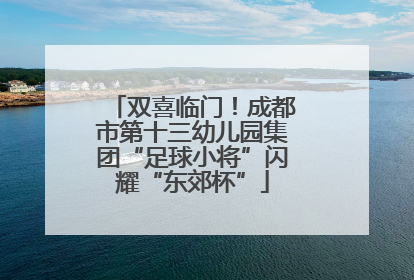 双喜临门！成都市第十三幼儿园集团“足球小将”闪耀“东郊杯”