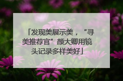 发现美展示美，“寻美推荐官”颜大卿用镜头记录多样美好