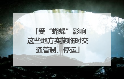 受“蝴蝶”影响 这些地方实施临时交通管制、停运