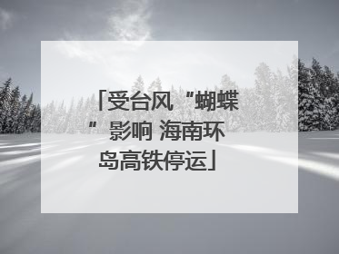 受台风“蝴蝶”影响 海南环岛高铁停运