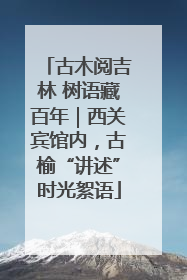古木阅吉林 树语藏百年｜西关宾馆内，古榆“讲述”时光絮语