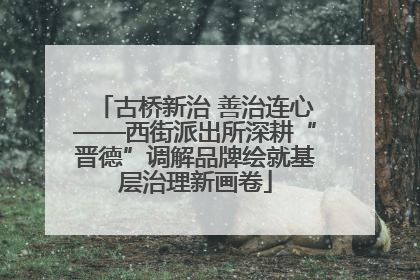 古桥新治 善治连心——西街派出所深耕“晋德”调解品牌绘就基层治理新画卷