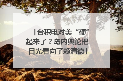 台积电对美“硬”起来了？岛内舆论把目光看向了赖清德