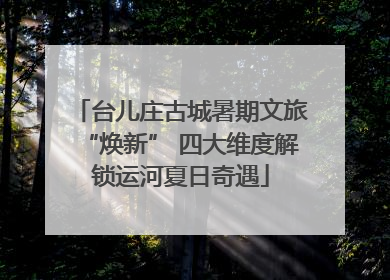 台儿庄古城暑期文旅“焕新” 四大维度解锁运河夏日奇遇