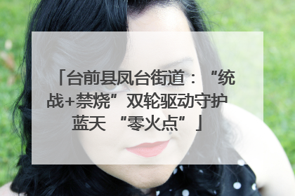 台前县凤台街道：“统战+禁烧”双轮驱动守护蓝天 “零火点”