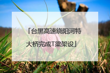 台黑高速绕阳河特大桥完成T梁架设