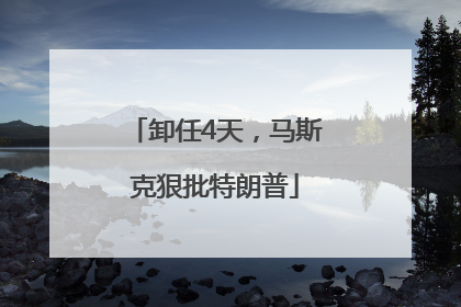 卸任4天，马斯克狠批特朗普