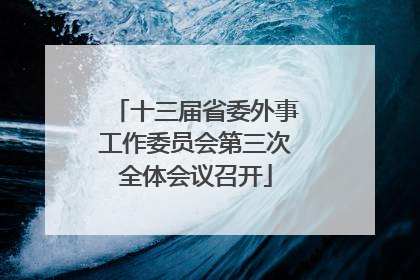 十三届省委外事工作委员会第三次全体会议召开
