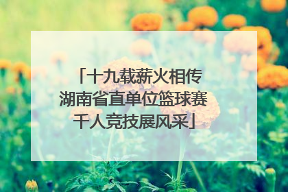 十九载薪火相传 湖南省直单位篮球赛千人竞技展风采