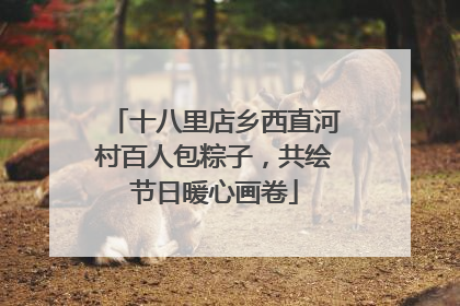 十八里店乡西直河村百人包粽子，共绘节日暖心画卷