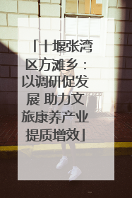 十堰张湾区方滩乡：以调研促发展 助力文旅康养产业提质增效