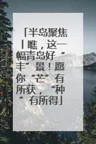 半岛聚焦丨瞧，这一幅青岛好“丰”景！愿你“芒”有所获，“种”有所得