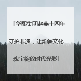 华熙集团赵燕十四年守护非遗，让新疆文化瑰宝绽放时代光彩