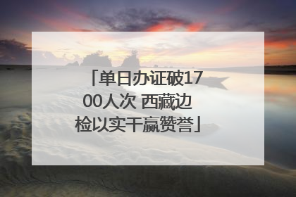 单日办证破1700人次 西藏边检以实干赢赞誉