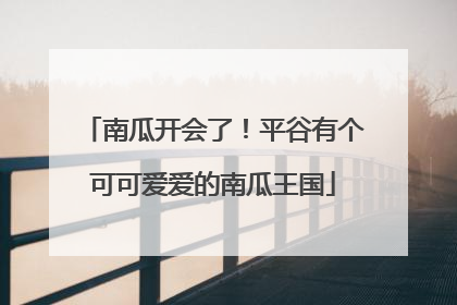 南瓜开会了！平谷有个可可爱爱的南瓜王国