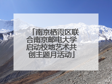 南京栖霞区联合南京邮电大学启动校地艺术共创主题月活动