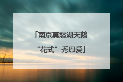 南京莫愁湖天鹅“花式”秀恩爱