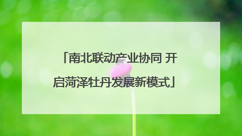 南北联动产业协同 开启菏泽牡丹发展新模式