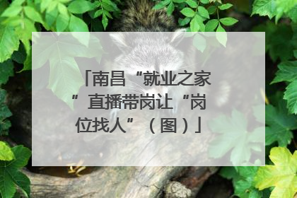 南昌“就业之家”直播带岗让“岗位找人”（图）