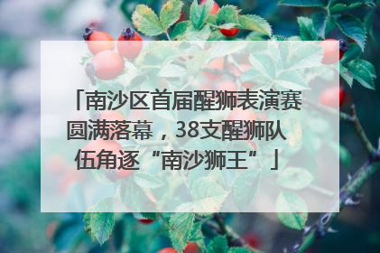 南沙区首届醒狮表演赛圆满落幕，38支醒狮队伍角逐“南沙狮王”