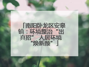 南阳卧龙区安皋镇：环境整治“出真招” 人居环境“焕新颜”