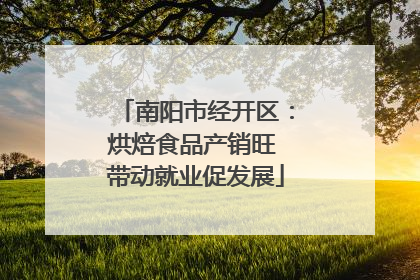 南阳市经开区：烘焙食品产销旺 带动就业促发展