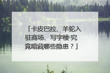 卡皮巴拉、羊驼入驻商场、写字楼 究竟暗藏哪些隐患？