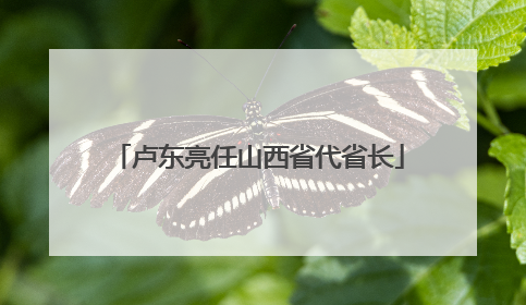 卢东亮任山西省代省长
