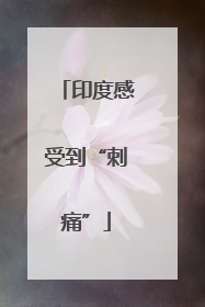 印度感受到“刺痛”