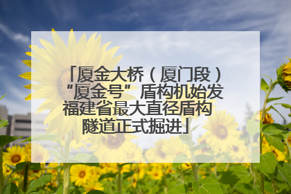 厦金大桥（厦门段）“厦金号”盾构机始发 福建省最大直径盾构隧道正式掘进