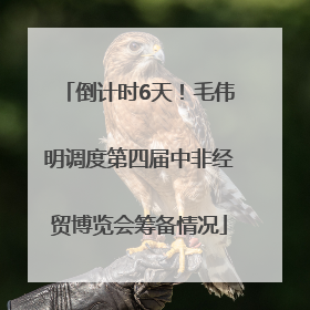 倒计时6天！毛伟明调度第四届中非经贸博览会筹备情况