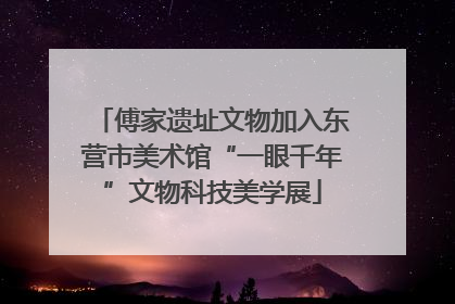 傅家遗址文物加入东营市美术馆“一眼千年”文物科技美学展