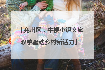 兖州区：牛楼小镇文旅双擎驱动乡村新活力