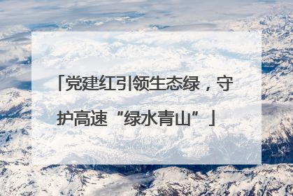 党建红引领生态绿，守护高速“绿水青山”