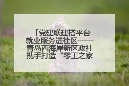 党建联建搭平台 就业服务进社区——青岛西海岸新区政社携手打造“零工之家”就业服务新阵地