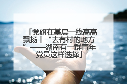 党旗在基层一线高高飘扬丨“去有村的地方”——湖南有一群青年党员这样选择