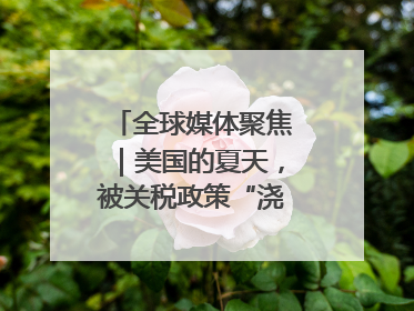 全球媒体聚焦｜美国的夏天，被关税政策“浇灭”了热情