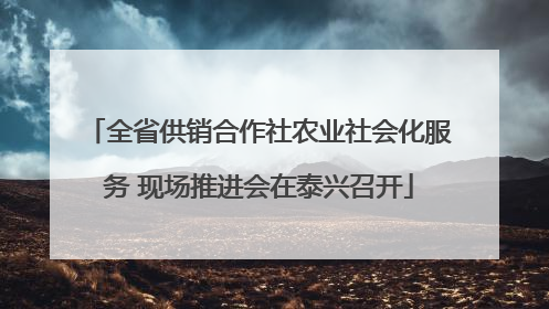 全省供销合作社农业社会化服务 现场推进会在泰兴召开