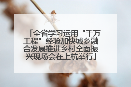 全省学习运用“千万工程”经验加快城乡融合发展推进乡村全面振兴现场会在上杭举行