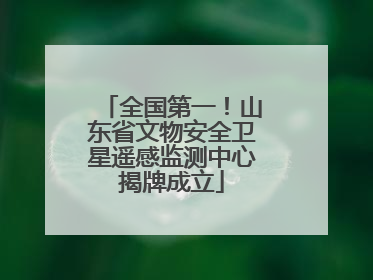 全国第一！山东省文物安全卫星遥感监测中心揭牌成立