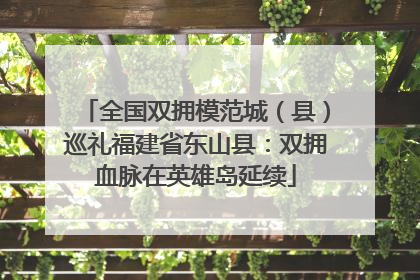 全国双拥模范城（县）巡礼福建省东山县：双拥血脉在英雄岛延续