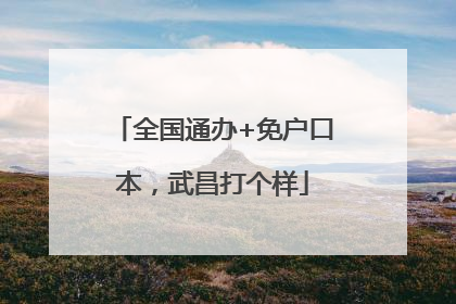 全国通办+免户口本，武昌打个样