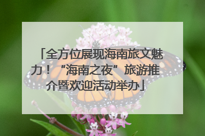 全方位展现海南旅文魅力！“海南之夜”旅游推介暨欢迎活动举办