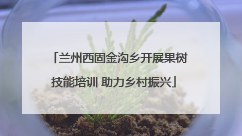 兰州西固金沟乡开展果树技能培训 助力乡村振兴