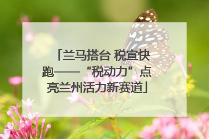 兰马搭台 税宣快跑——“税动力”点亮兰州活力新赛道