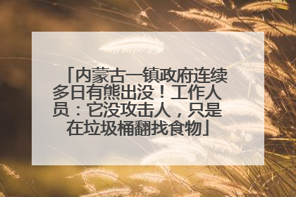 内蒙古一镇政府连续多日有熊出没！工作人员：它没攻击人，只是在垃圾桶翻找食物